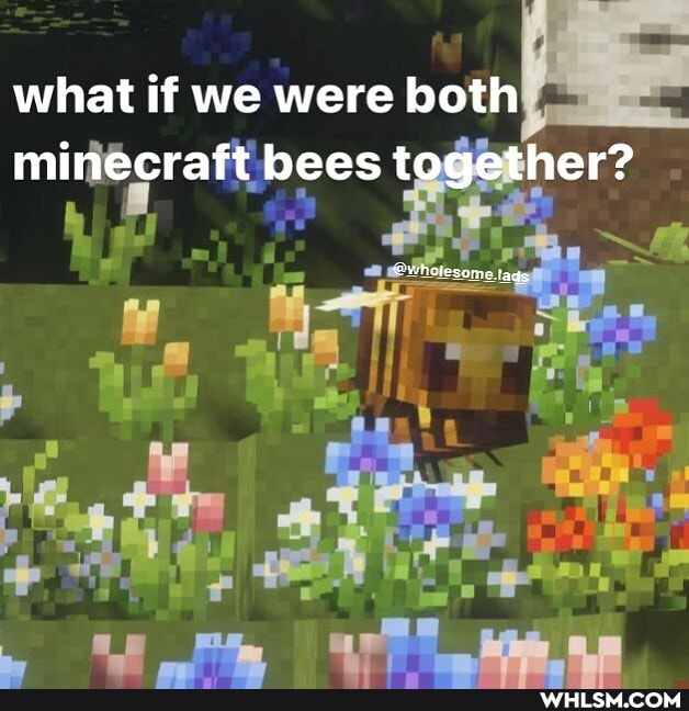 what if we were both minecraft bees her?
an
tag
ot