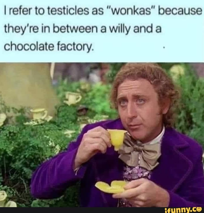 I refer to testicles as "wonkas" because they're in between a willy and a chocolate factory.