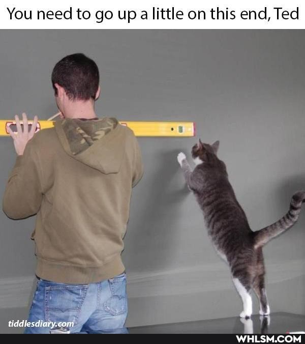 You need to go up alittle on this end, Ted