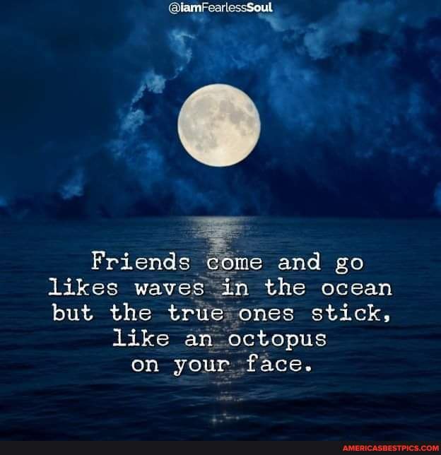 Spiders Their Ocean Past Will Leave You Speechless Short Wave - ocdtyrp