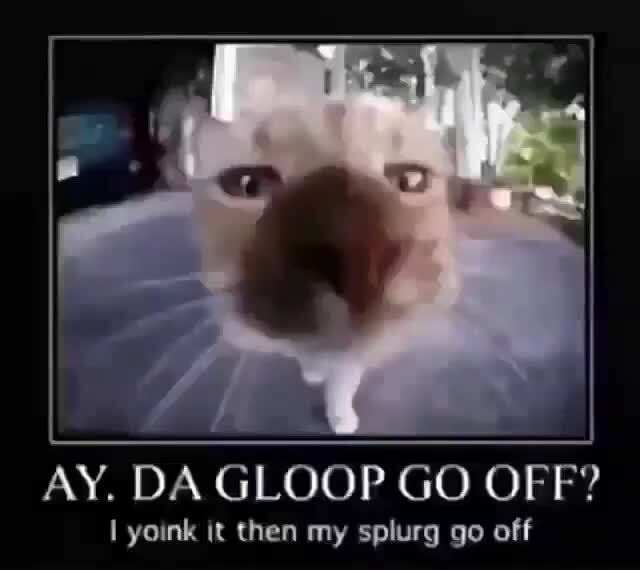 Gloop Memes Best Collection Of Funny Gloop Pictures On Ifunny