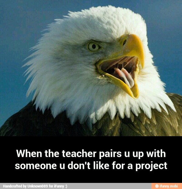 When the teacher pairs u up with
someone u don't like for a project - When the teacher pairs u up with someone u don't like for a project