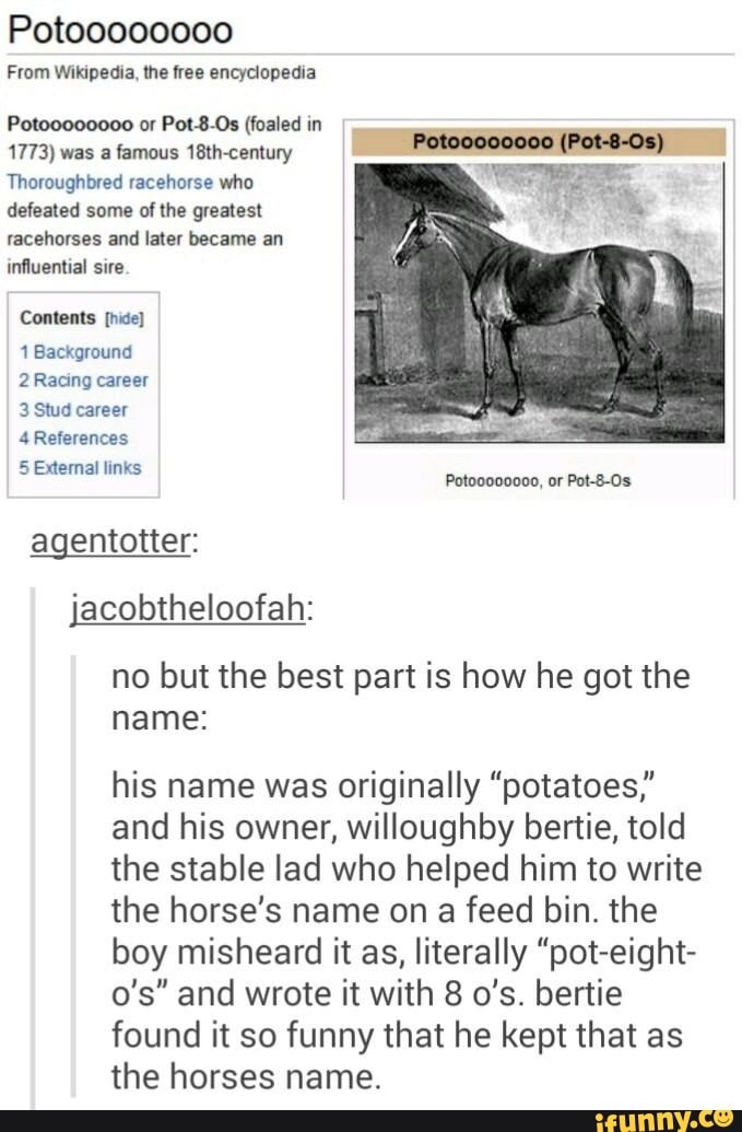 How to write about sex horse 07 picture