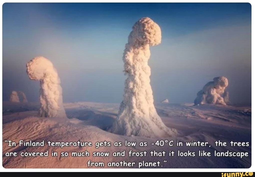 "In _Finland temperature gets as low as in winter, the trees are 'covered so much snow and frost that it looks like landscape another planet."