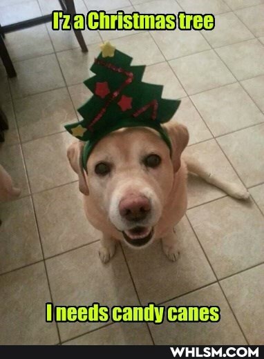 needs candy canes}
