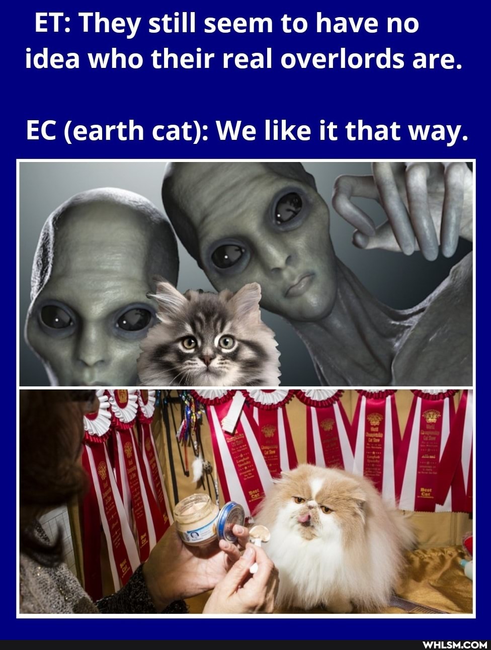 ET: They still seem to have no idea who their real overlords are.
EC (earth cat): We like it that way.