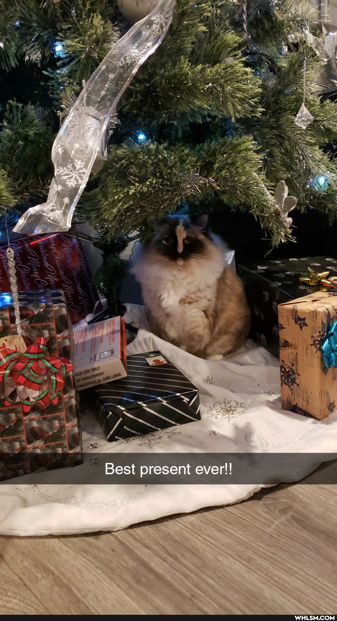 Best present ever!!