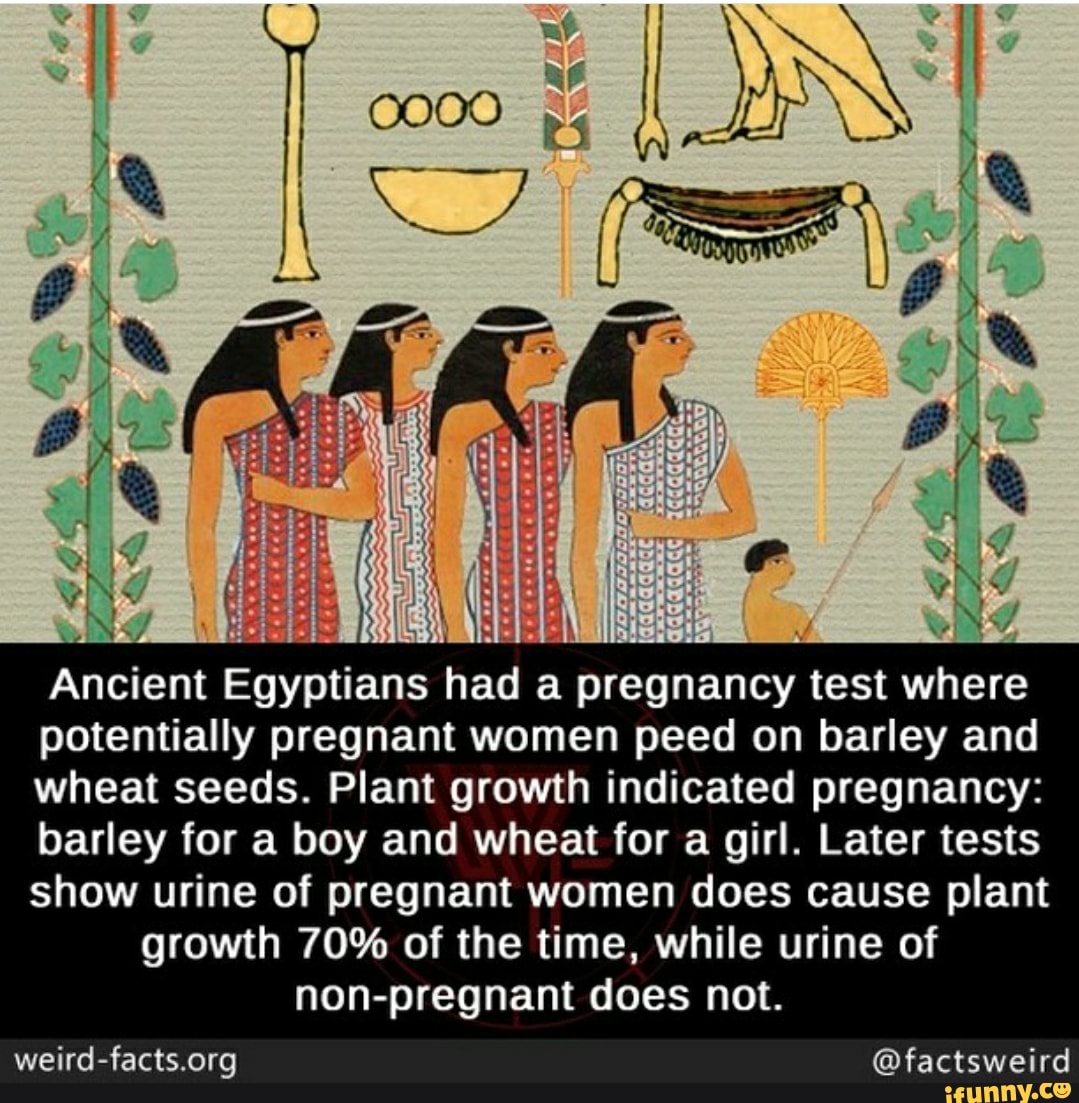A Ancient Egyptians had a pregnancy test where potentially pregnant