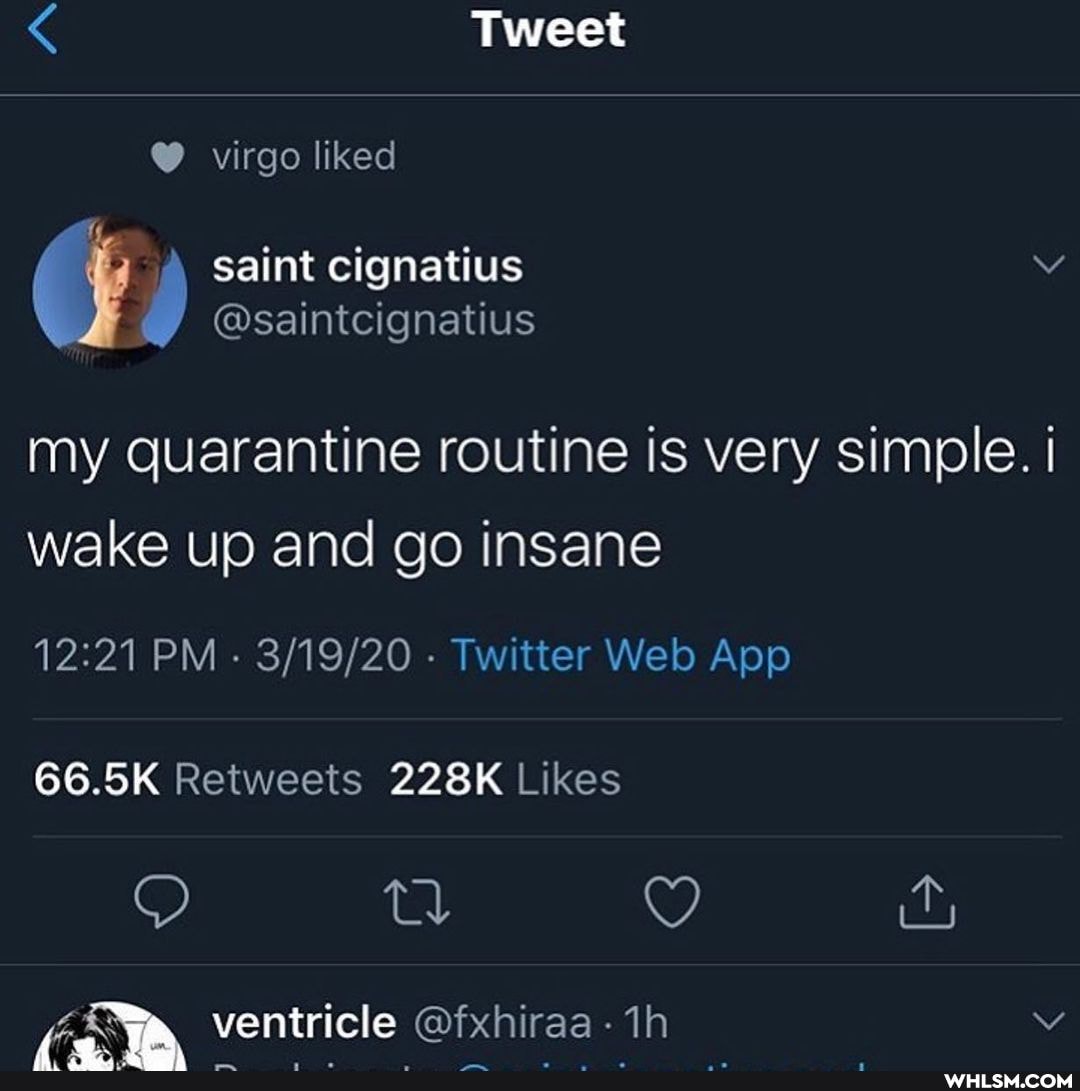 Tweet virgo liked
(3 Saint cignatius @saintcignatius
@sainicignatius
my quarantine routine is very simple. I wake up and go insane
66.5K
ventricle @fxhiraa -