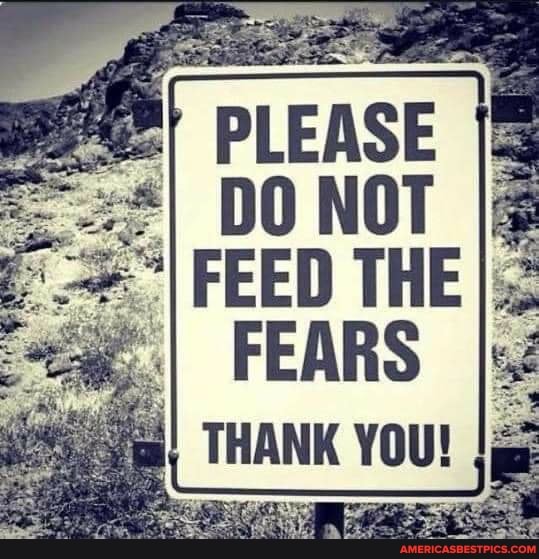 PLEASE
DO NOT
FEED THE FEARS
THANK YOU!