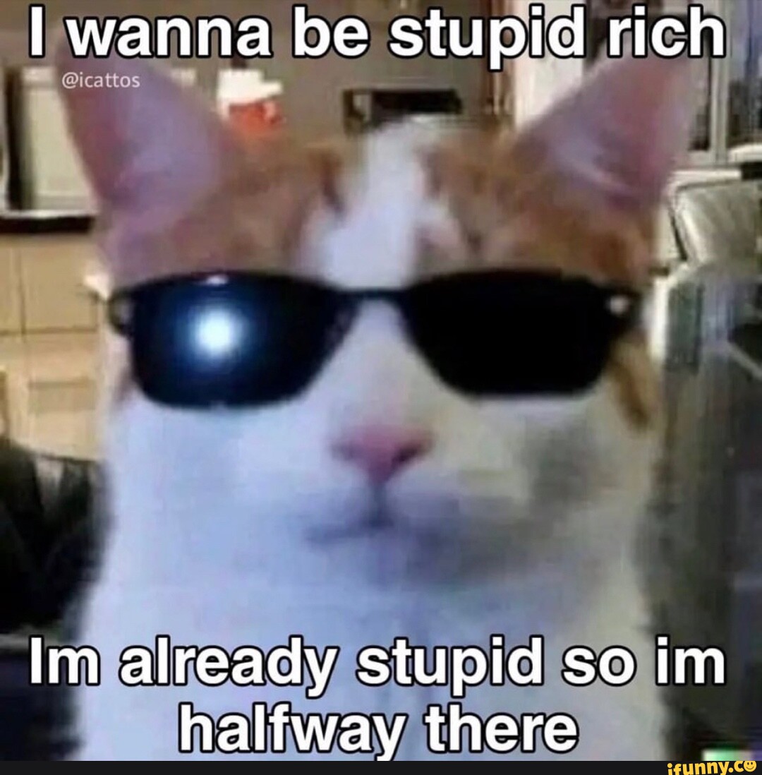 i-wanna-be-stupid-rich-im-already-stupid-so-im-halfway-there-ifunny