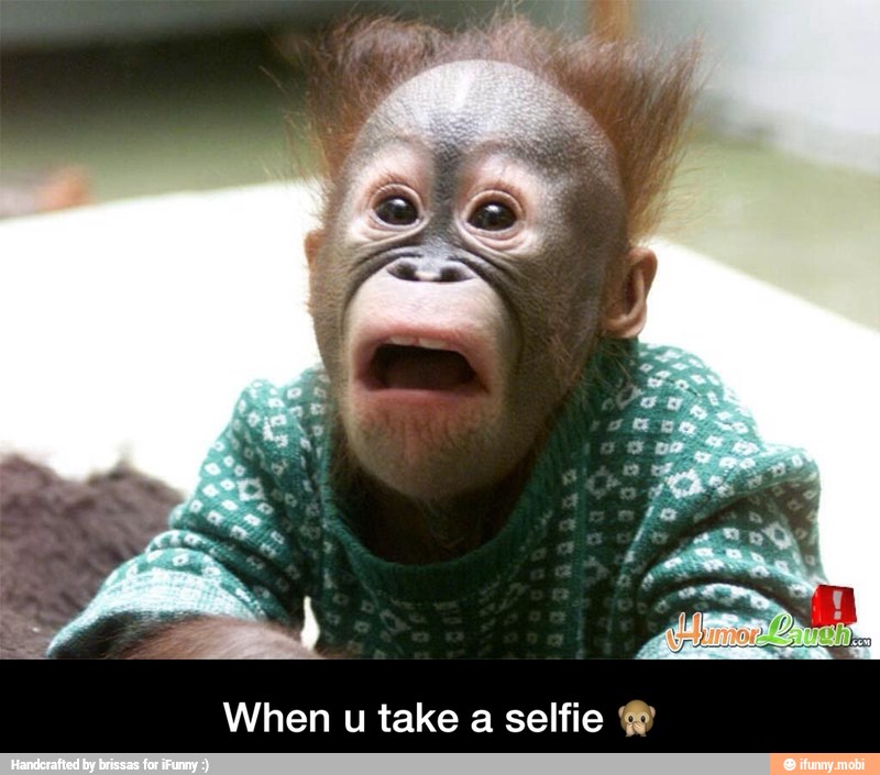 When u take a selfie - When u take a selfie 🙊