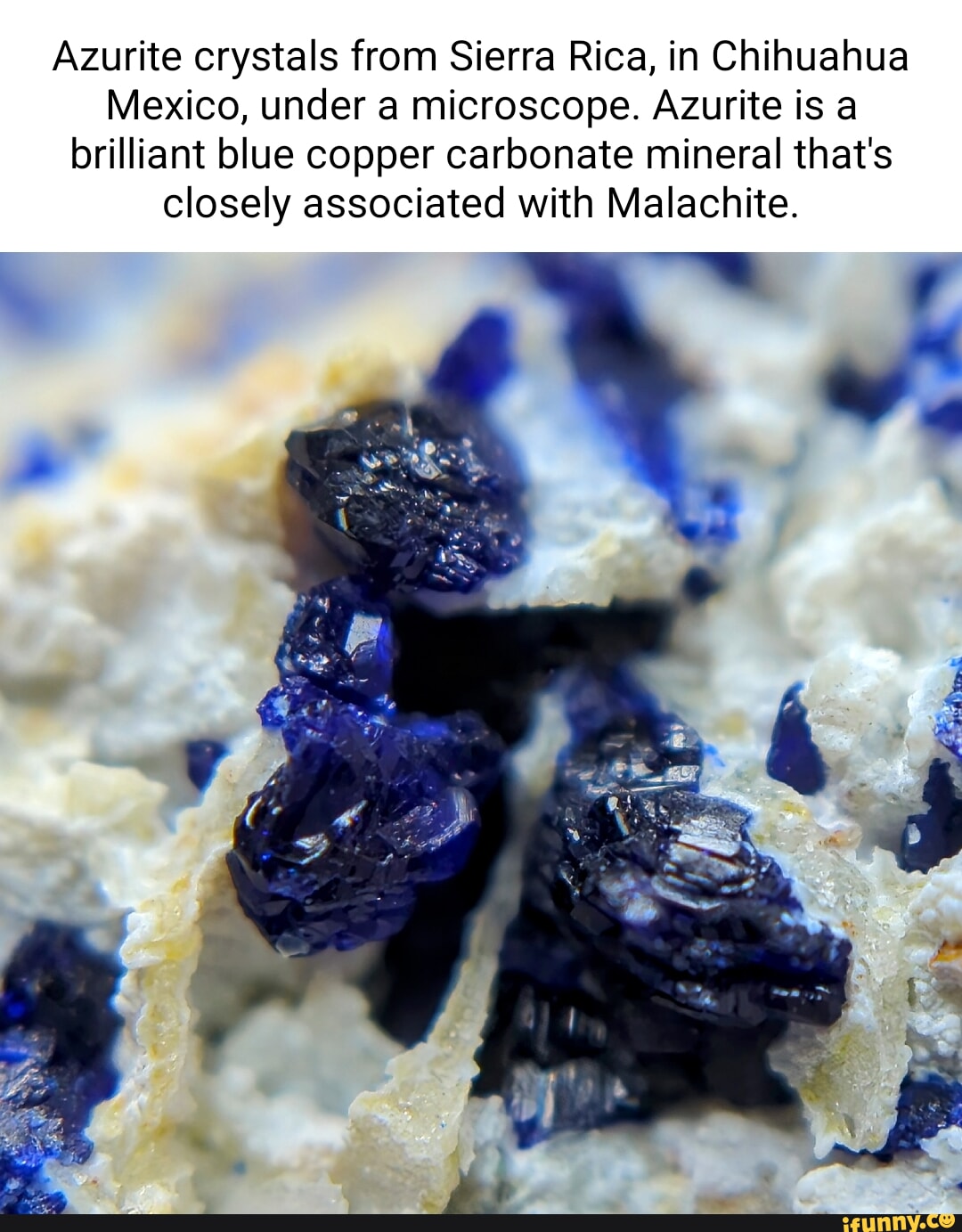 Malachite memes. Best Collection of funny Malachite pictures on iFunny