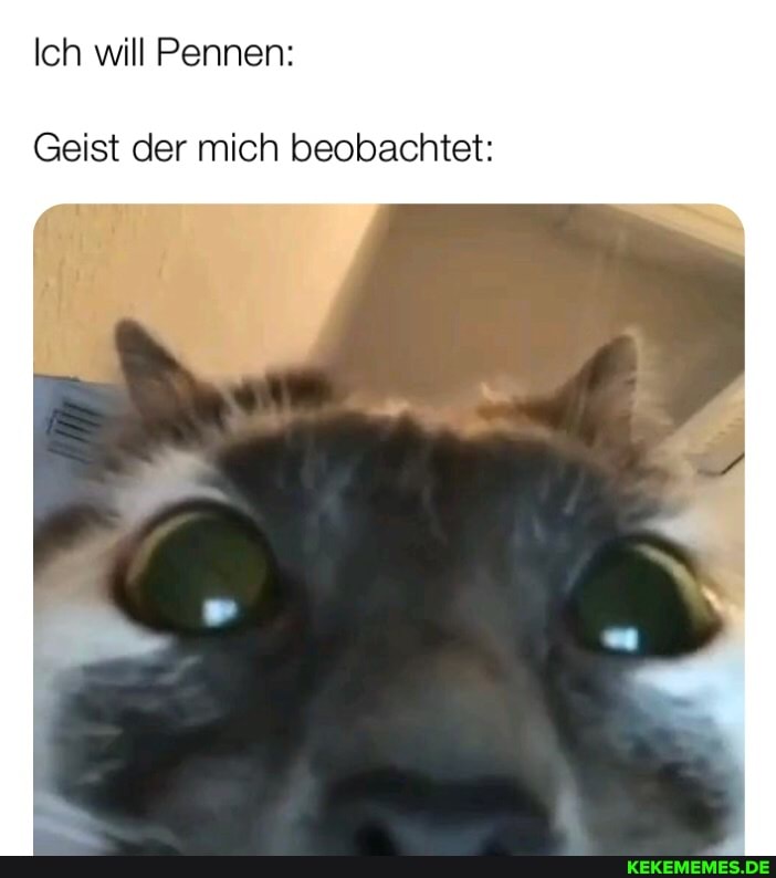 Ich will Pennen:
Geist der mich beobachtet: