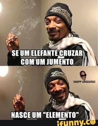 Fr
SE UM ELEFANTE CRUZAR
COM UM JUMENTO