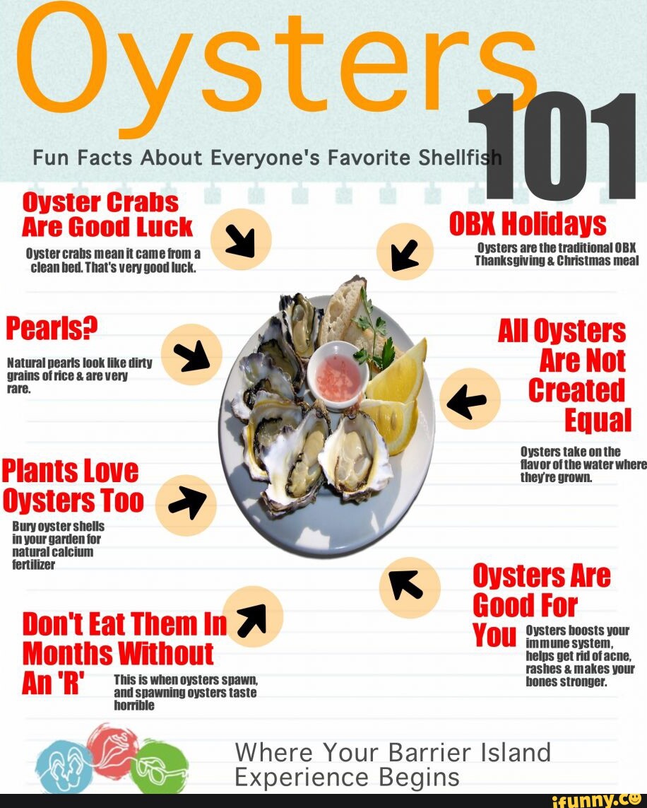 Oyster Fun Facts About Everyone's Favorite Shell 101 Oyster Crabs Are