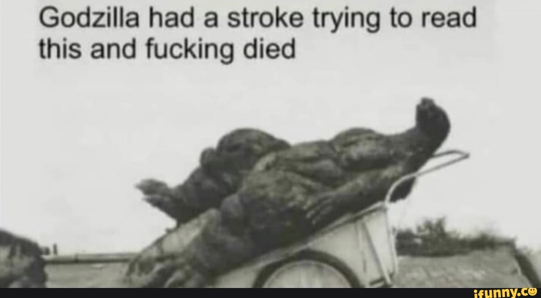 Godzilla had a stroke trying to read this and fucking died iFunny