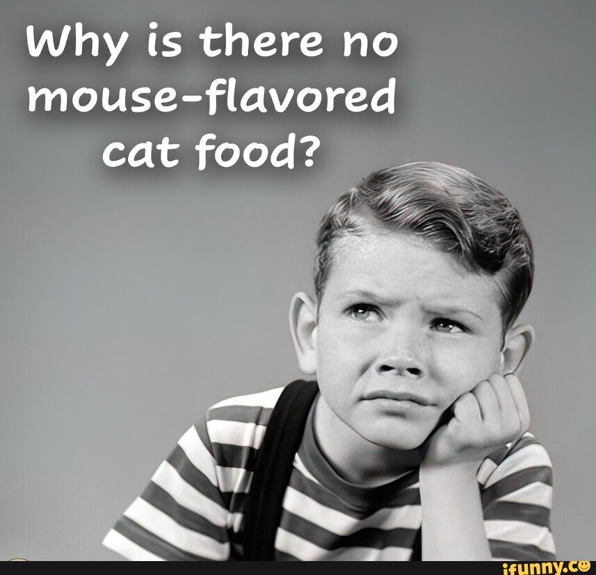 Why is there no mouseflavored cat food? iFunny