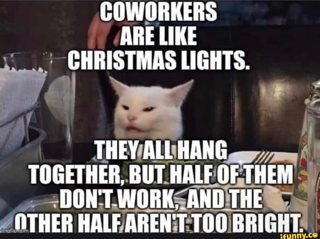 COWORKERS ARE LIKE CHRISTMAS LIGHTS. THEY ALL HANG TOGETHER, BUT HALE
