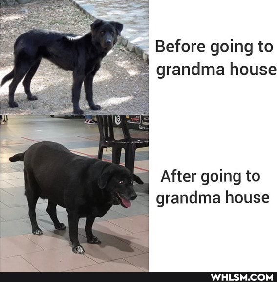 Before going to grandma house
After going to grandma house