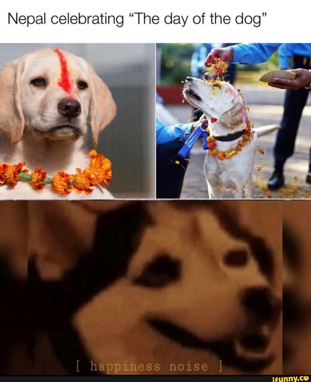 Nepal celebrating "The day of the dog"