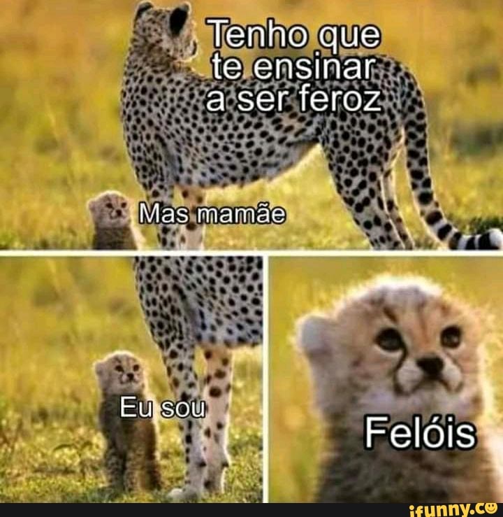 Tenho que te ensinar a ser feroz
las mamae