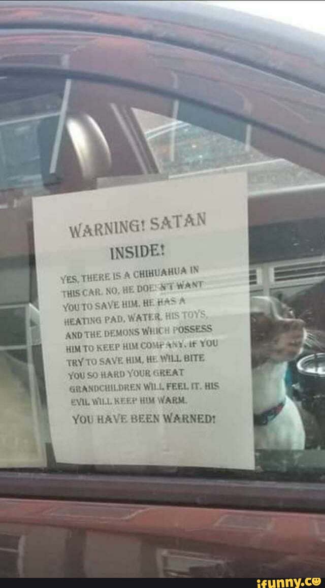 chihuahua heating pad