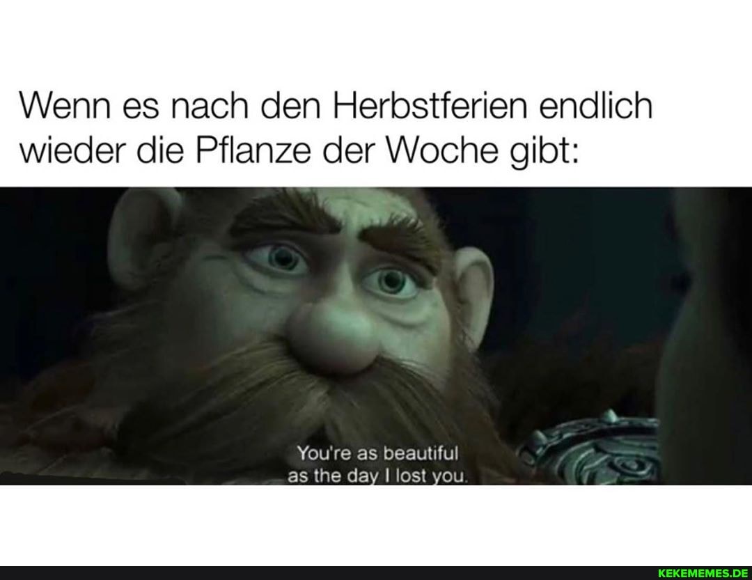 Wenn es nach den Herbstferien endlich wieder die Pflanze der Woche gibt:
You're as beautiful
asthe lost