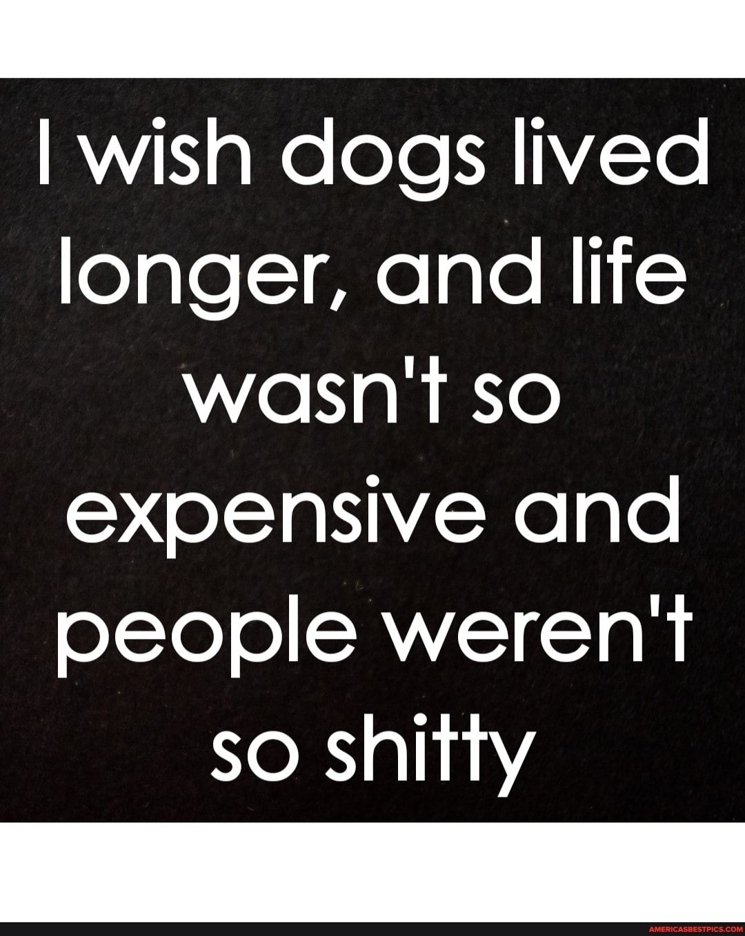 I wish dogs lived longer, and life wasn't so expensive and people weren't so shitty