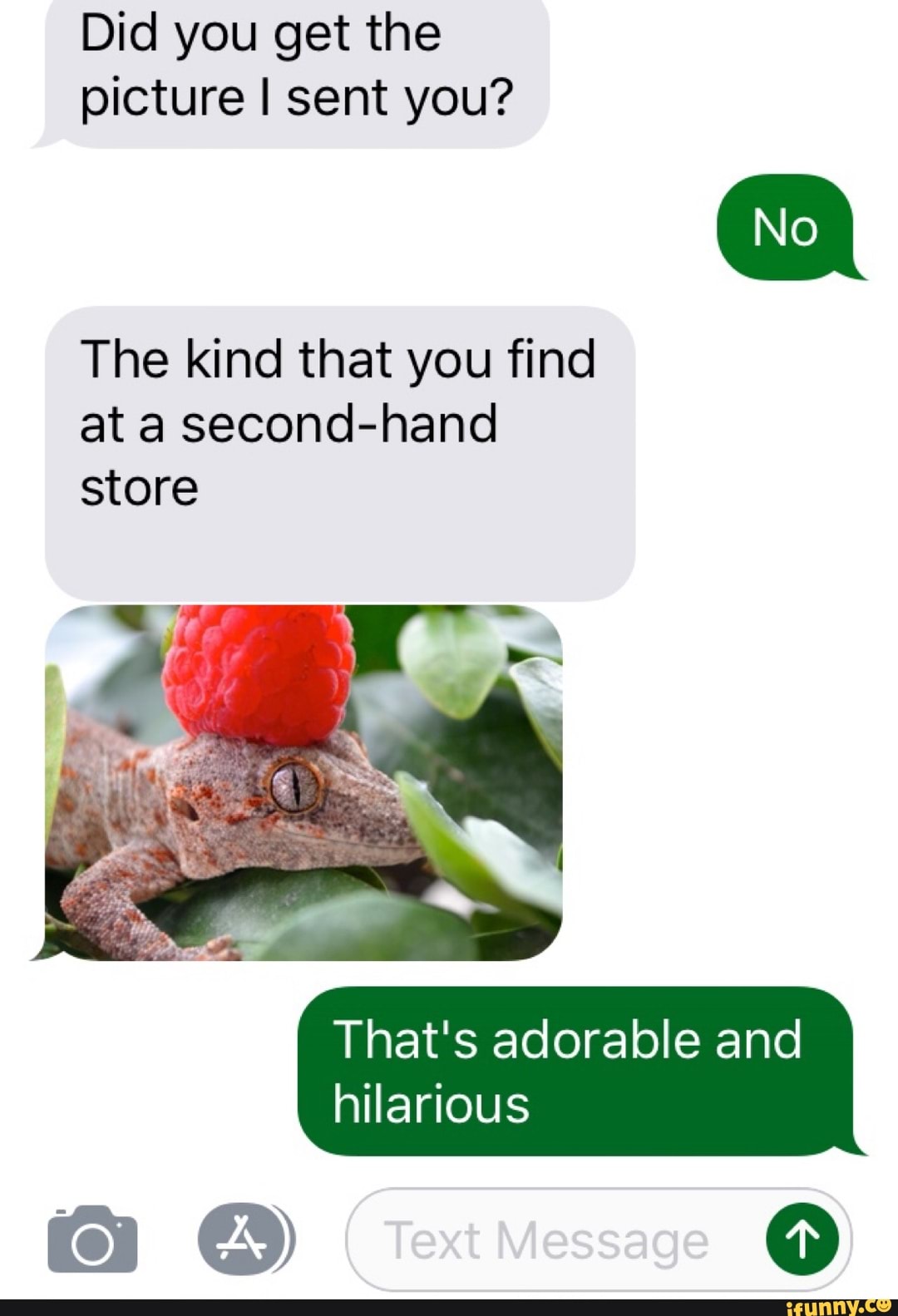 Raspberryberet memes. Best Collection of funny Raspberryberet pictures ...