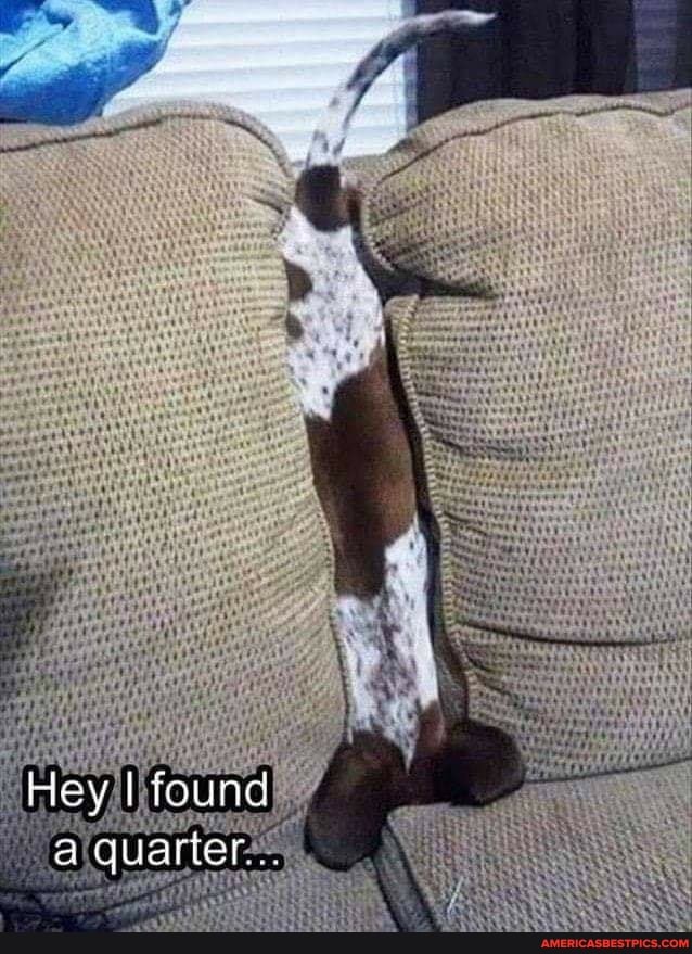 Hey I found a quarter..