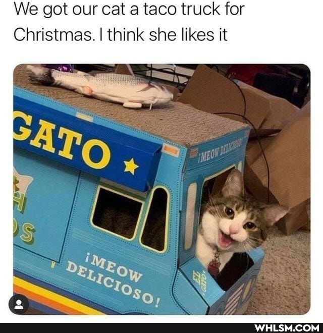 We got our cat a taco truck for
Christmas. I think she likes it