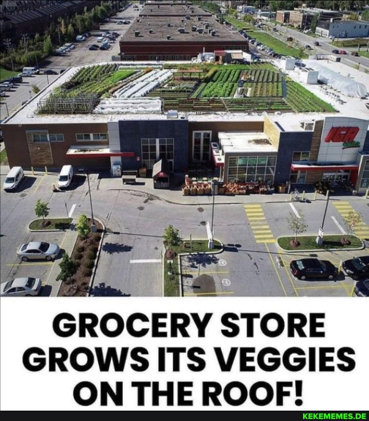 GROCERY STORE GROWS ITS VEGGIES ON THE