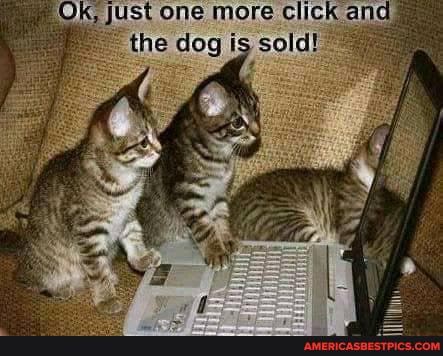 Ok; just one more Click and