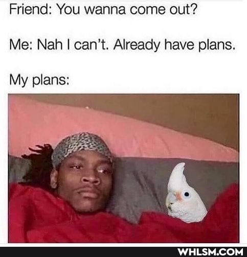 Friend: You wanna come out?
Me: Nah can't. Already have plans.
My plans: