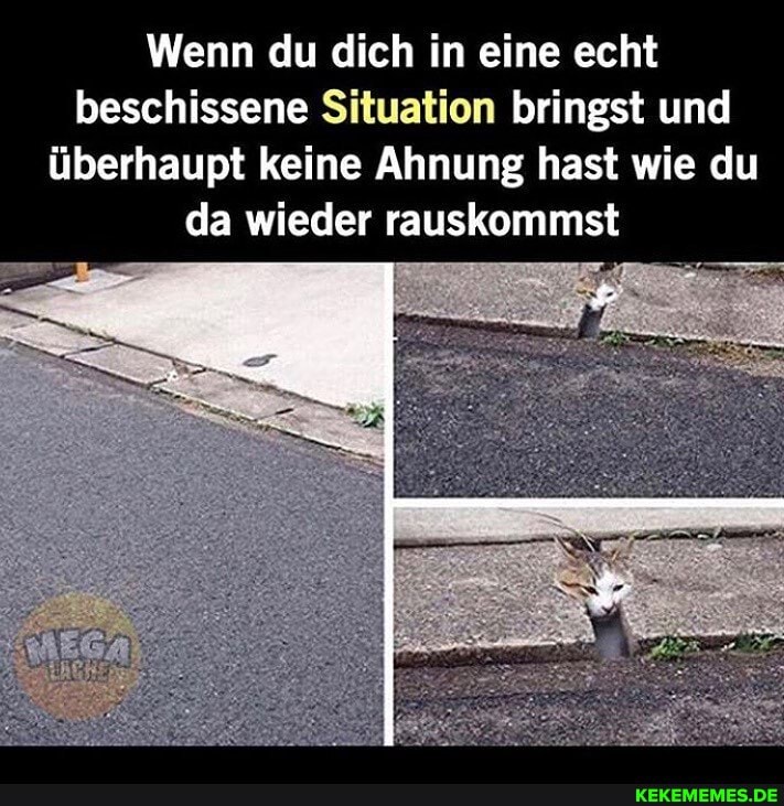 Wenn du dich in eine echt beschissene Situation bringst und überhaupt keine Ahnung hast wie du da wieder rauskommst