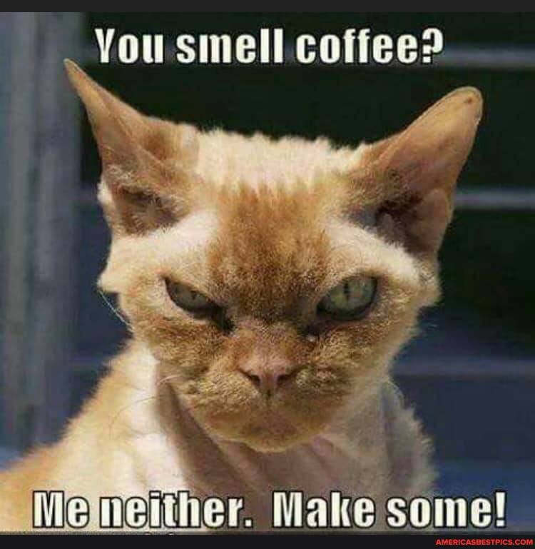 You smell coffee?
Make
