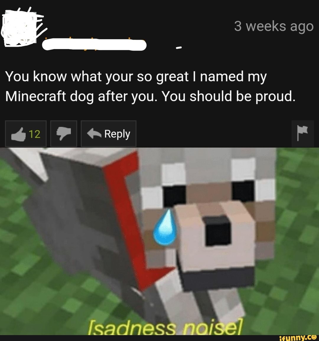 You know what your so great I named my Minecraft dog after you. You
