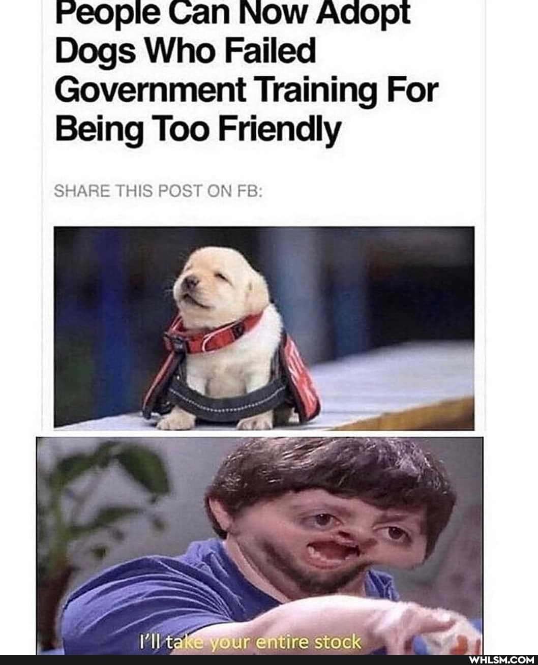 Feopie Can NOW Adopt
Dogs Who Failed
Government Training For
Being Too Friendly
SHARE THIS POST ON FB