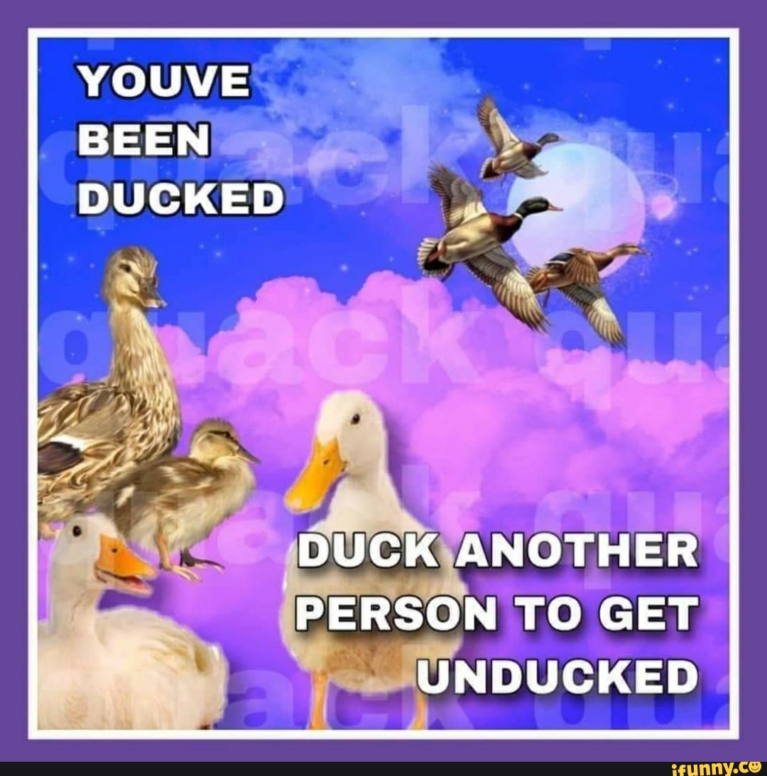 youve-been-ducked-duck-another-person-to-get-i-unducked-i-ifunny