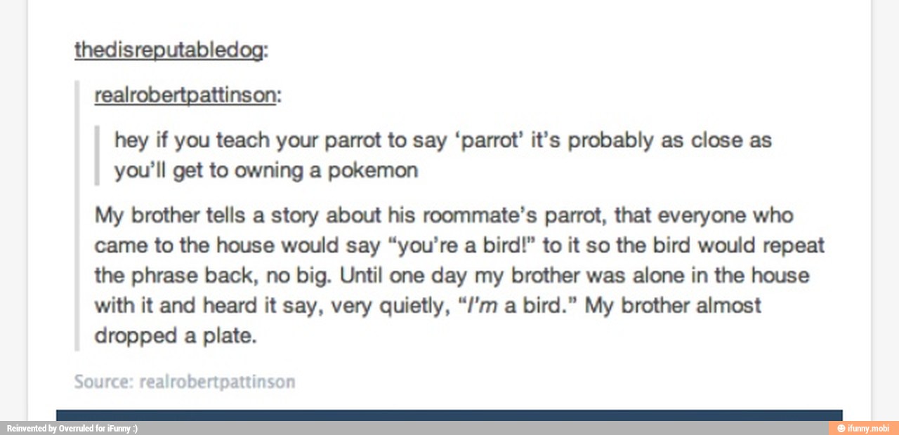 thedisreputabledog:
hey if you teach your parrot to say 'parrot' it's probably as close as
you'll get to owning a pokemon
My brother tells a story about his roommate's parrot, that everyone who
came to the house would say "you're a bird!" to it so the bird would repeat
the phrase back, no big. Until one day my brother was alone in the house
with it and heard it say, very quietly, "/'m a bird." My brother almost
dropped a plate.
source: realrobertpattinsor