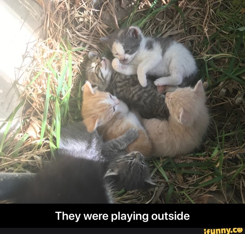 They were playing outside - They were playing outside