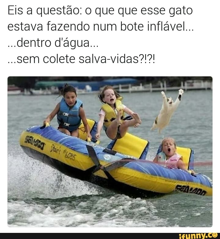 Eis a questão: o que que esse gato
estava fazendo num bote inflável...
dentro d'água...
...sem colete salva-vidas?!