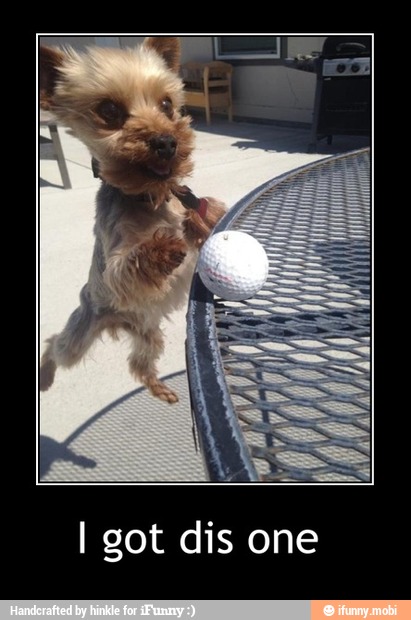 I got dis one - I got dis one