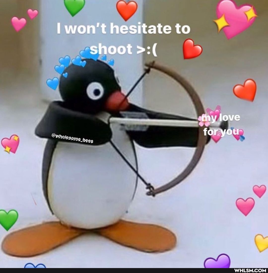 NA
won hesitate to shoot
my love for you