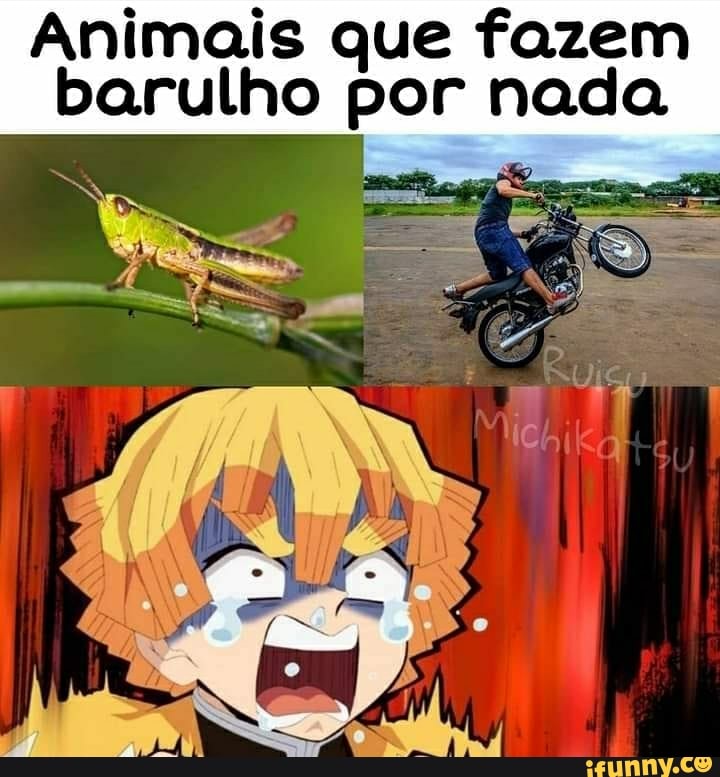 Animais que fazem barulho por nada
Na maes