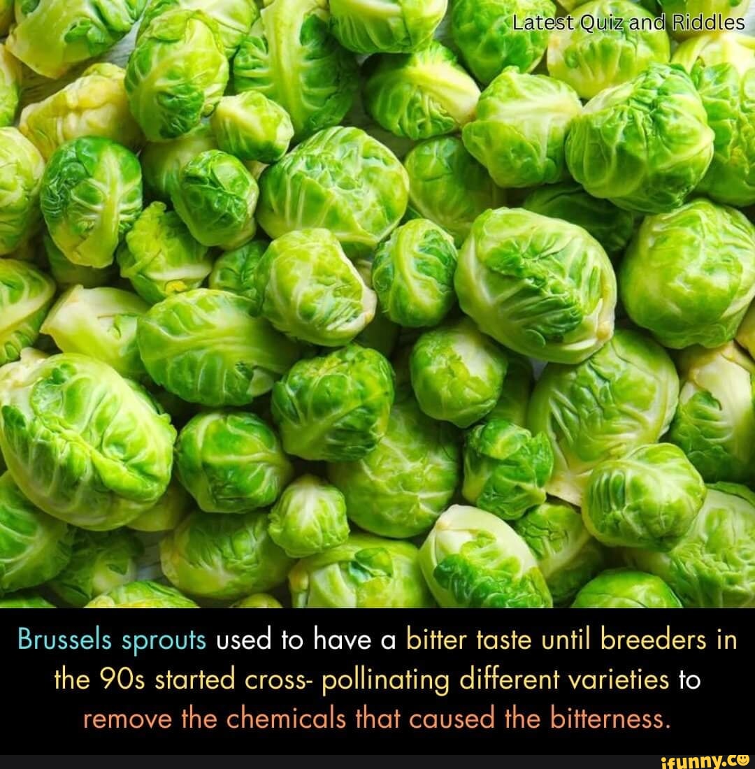 Sprouts memes. Best Collection of funny Sprouts pictures on iFunny