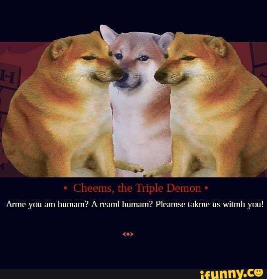 * Cheems, the Triple Demon
Arme you am humam? A reaml humam? Pleamse takme us witmh you!