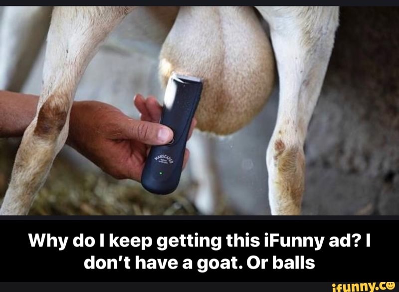 Or balls - Why do I keep getting this iFunny ad? 
