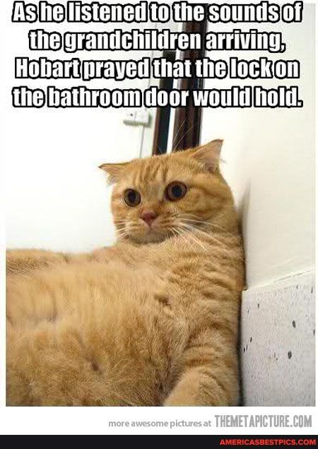 would Iholds